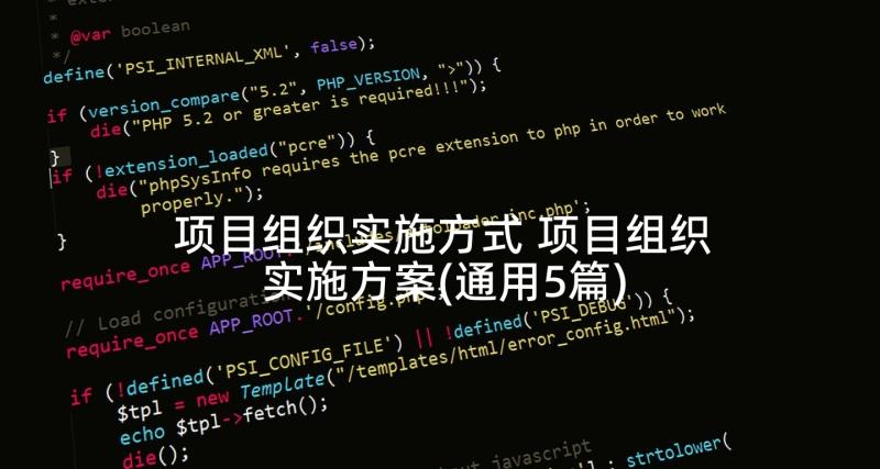 项目组织实施方式 项目组织实施方案(通用5篇)
