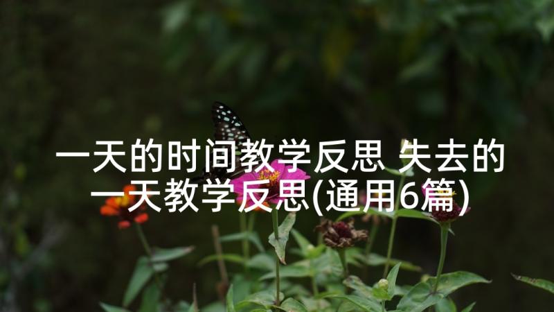 一天的时间教学反思 失去的一天教学反思(通用6篇)