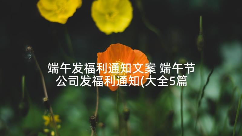 端午发福利通知文案 端午节公司发福利通知(大全5篇)