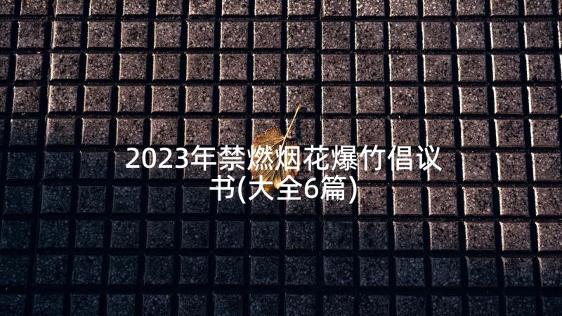 2023年禁燃烟花爆竹倡议书(大全6篇)