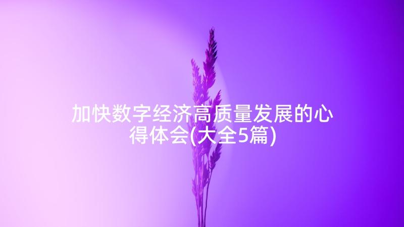 加快数字经济高质量发展的心得体会(大全5篇)