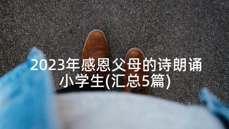 2023年感恩父母的诗朗诵小学生(汇总5篇)