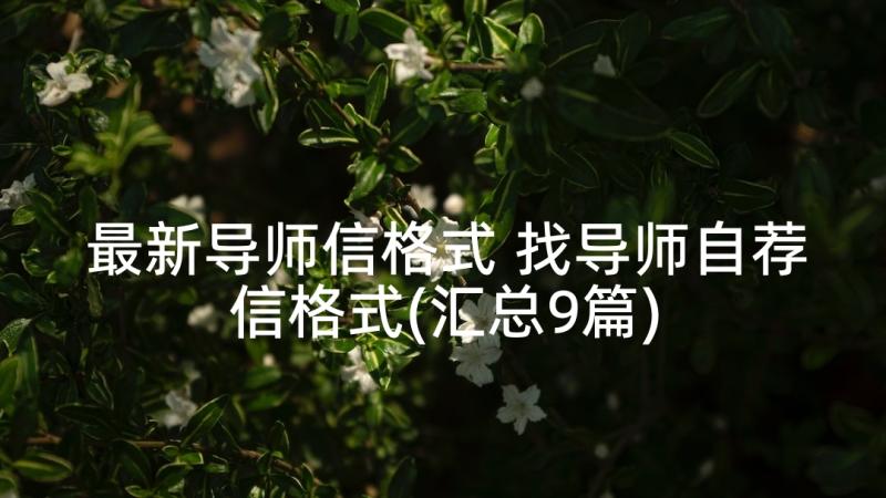 最新导师信格式 找导师自荐信格式(汇总9篇)