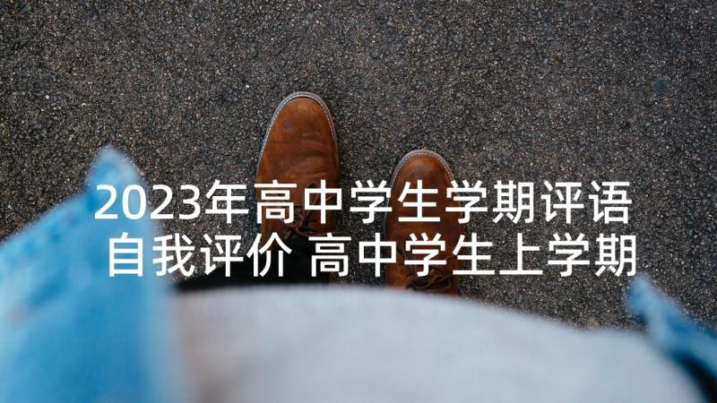 2023年高中学生学期评语自我评价 高中学生上学期评语(实用5篇)