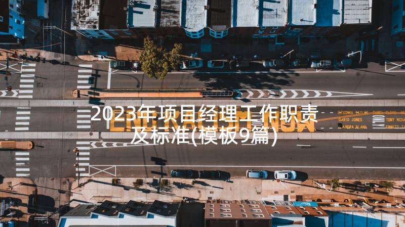 2023年项目经理工作职责及标准(模板9篇)