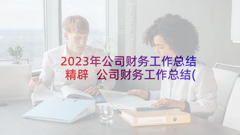 2023年公司财务工作总结精辟 公司财务工作总结(大全7篇)