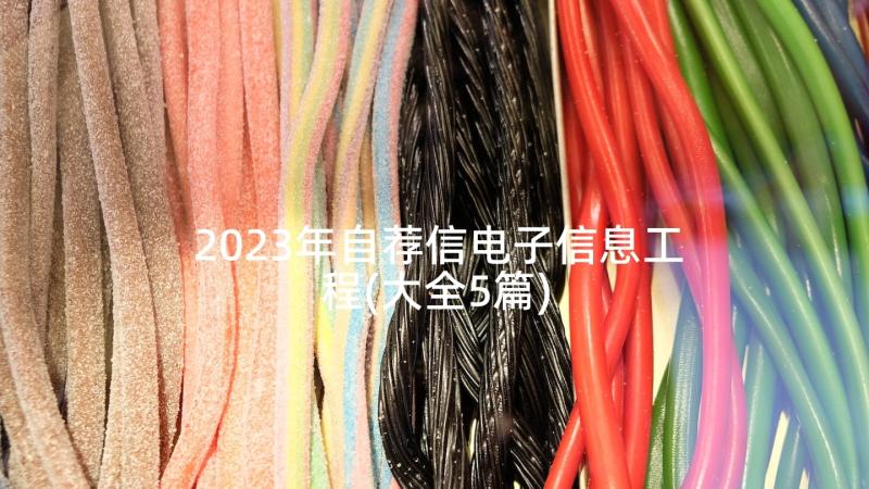 2023年自荐信电子信息工程(大全5篇)