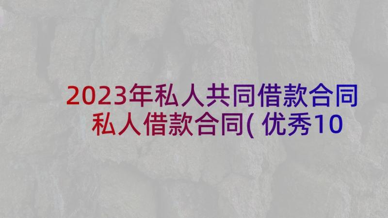 2023年私人共同借款合同 私人借款合同(优秀10篇)