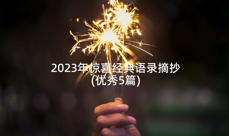 2023年惊喜经典语录摘抄(优秀5篇)