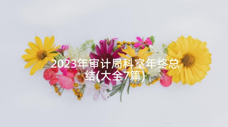 2023年审计局科室年终总结(大全7篇)