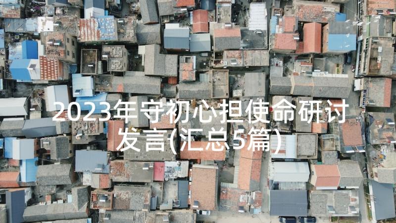 2023年守初心担使命研讨发言(汇总5篇)