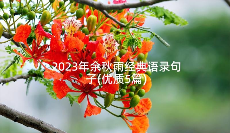 2023年余秋雨经典语录句子(优质5篇)
