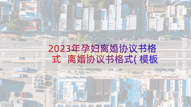 2023年孕妇离婚协议书格式 离婚协议书格式(模板6篇)