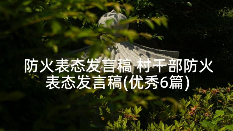 防火表态发言稿 村干部防火表态发言稿(优秀6篇)