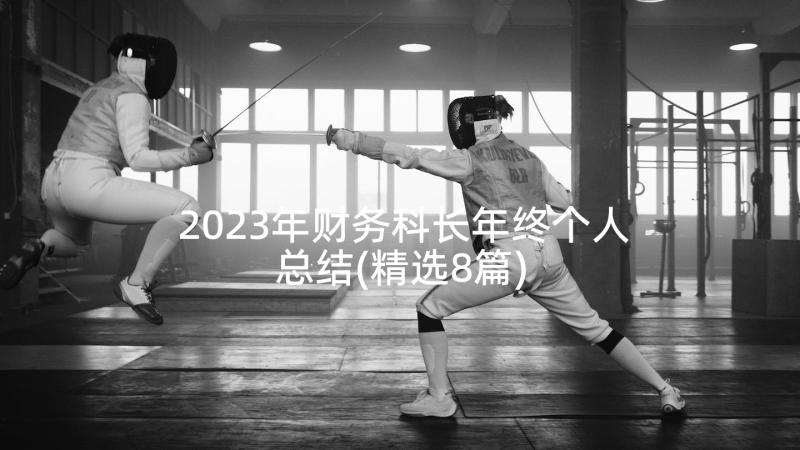 2023年财务科长年终个人总结(精选8篇)