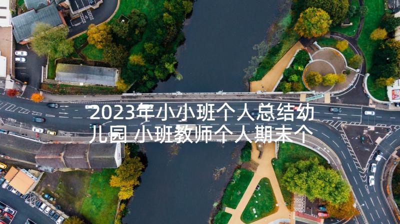 2023年小小班个人总结幼儿园 小班教师个人期末个人总结(汇总9篇)