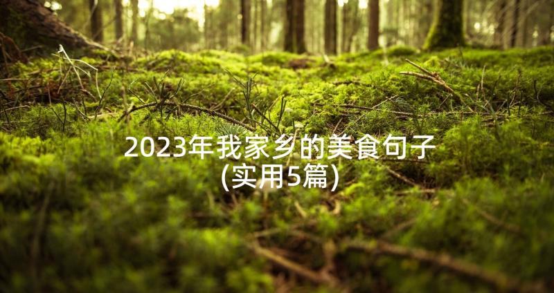 2023年我家乡的美食句子(实用5篇)