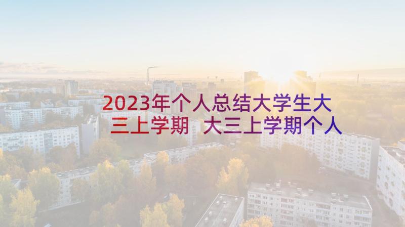 2023年个人总结大学生大三上学期 大三上学期个人总结(汇总5篇)