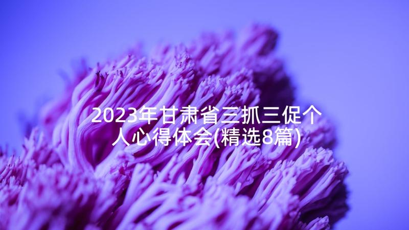 2023年甘肃省三抓三促个人心得体会(精选8篇)