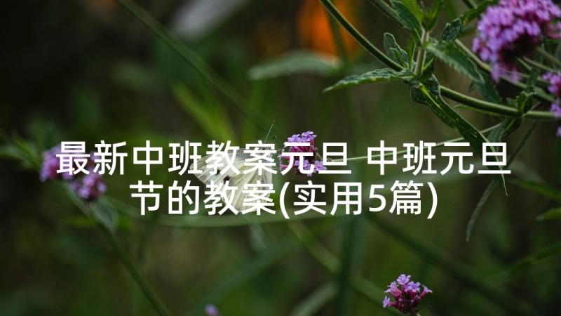 最新中班教案元旦 中班元旦节的教案(实用5篇)