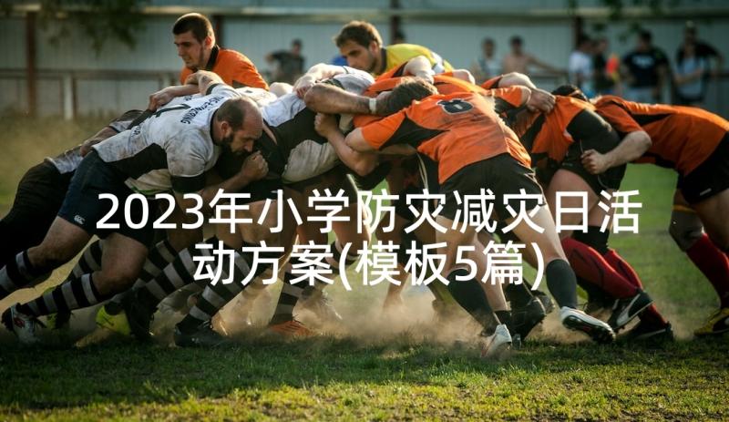 2023年小学防灾减灾日活动方案(模板5篇)