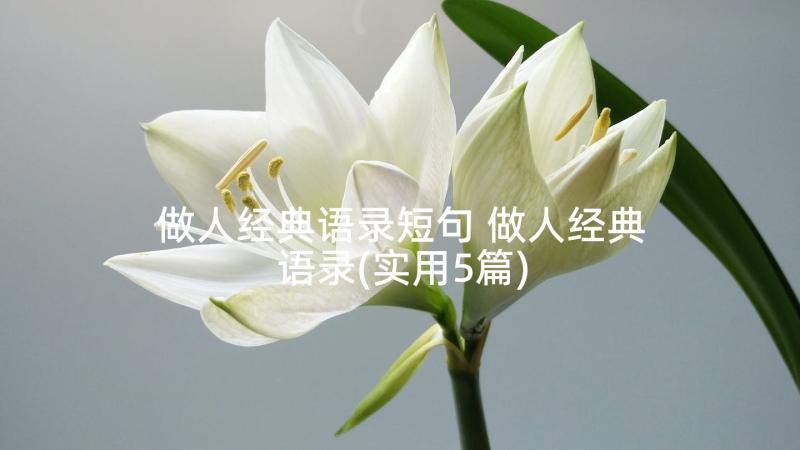 做人经典语录短句 做人经典语录(实用5篇)