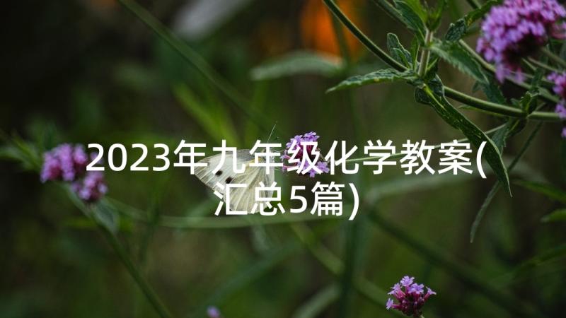 2023年九年级化学教案(汇总5篇)