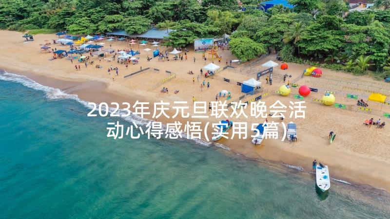 2023年庆元旦联欢晚会活动心得感悟(实用5篇)