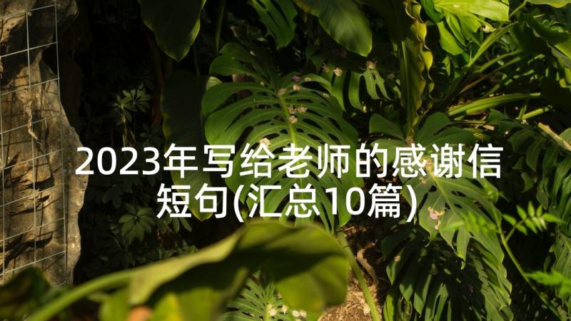 2023年写给老师的感谢信短句(汇总10篇)