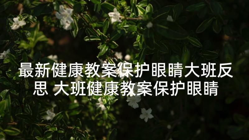 最新健康教案保护眼睛大班反思 大班健康教案保护眼睛(汇总7篇)