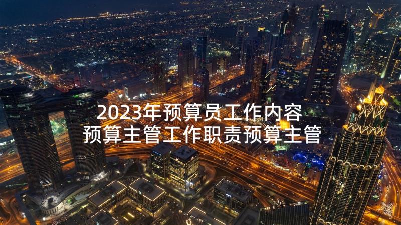 2023年预算员工作内容 预算主管工作职责预算主管工作内容(通用5篇)