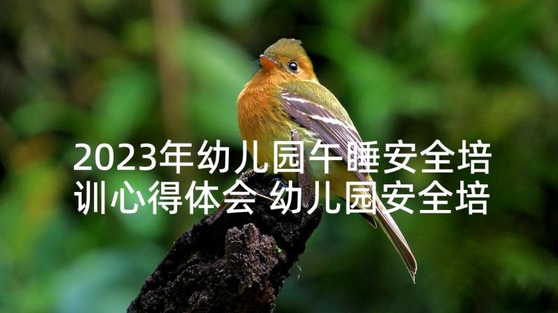 2023年幼儿园午睡安全培训心得体会 幼儿园安全培训心得体会(通用9篇)