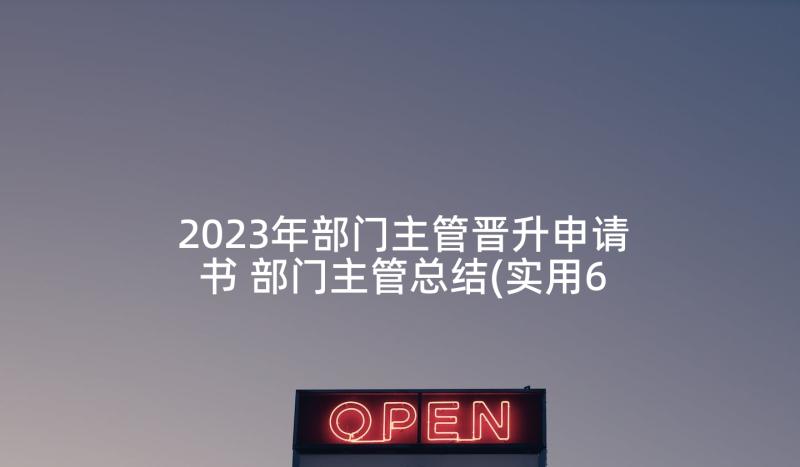 2023年部门主管晋升申请书 部门主管总结(实用6篇)