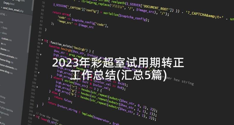 2023年彩超室试用期转正工作总结(汇总5篇)