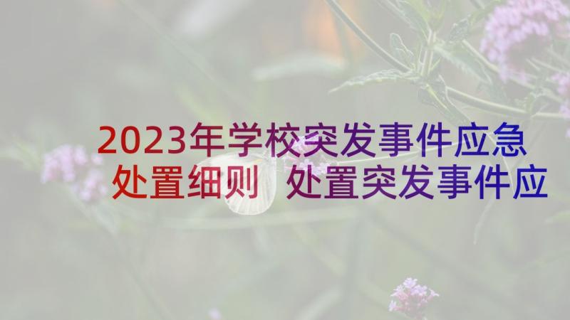 2023年学校突发事件应急处置细则 处置突发事件应急预案(汇总5篇)