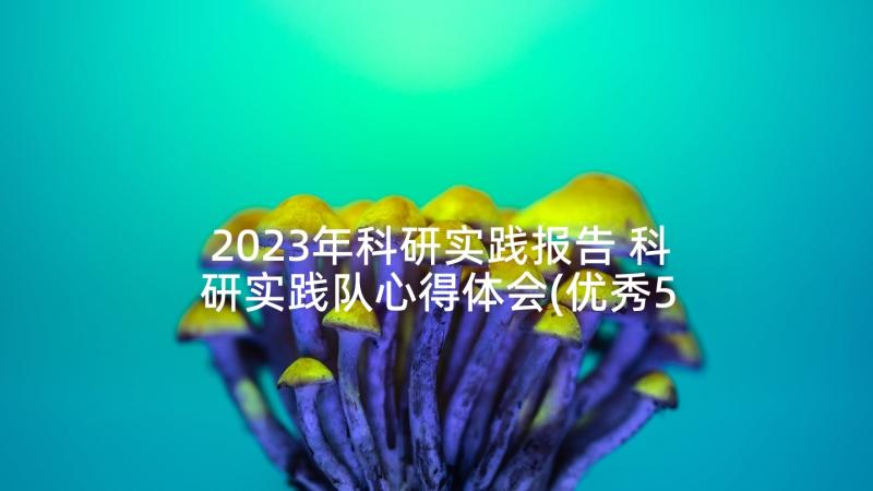 2023年科研实践报告 科研实践队心得体会(优秀5篇)