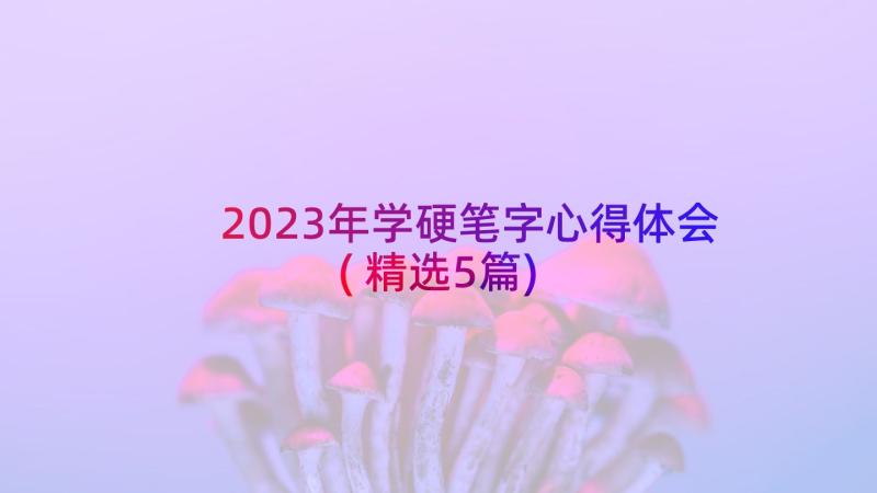 2023年学硬笔字心得体会(精选5篇)