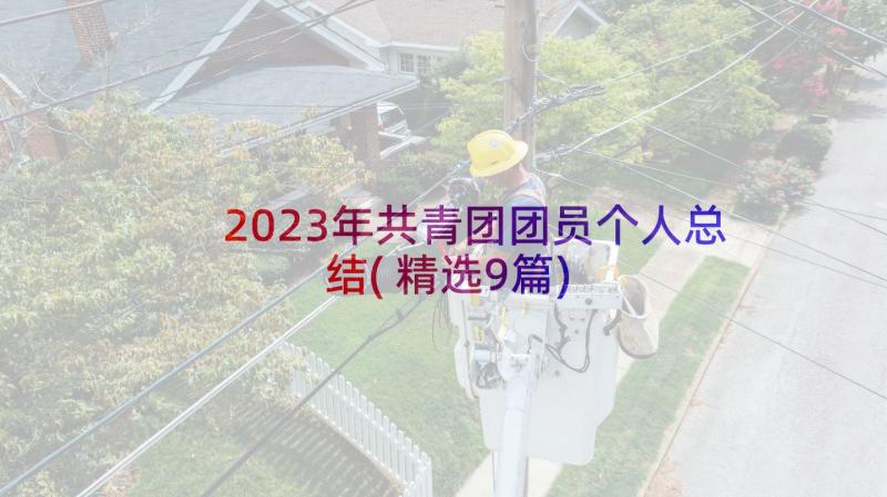 2023年共青团团员个人总结(精选9篇)