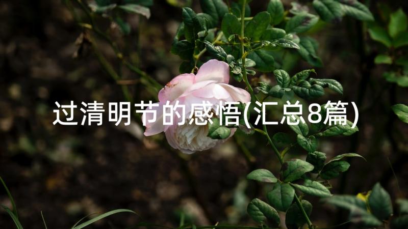 过清明节的感悟(汇总8篇)