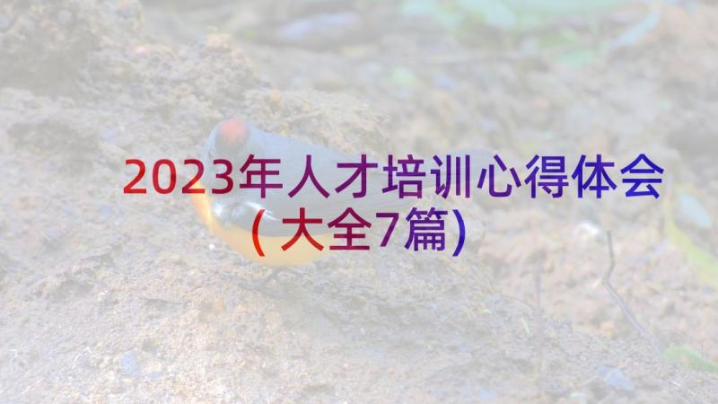 2023年人才培训心得体会(大全7篇)