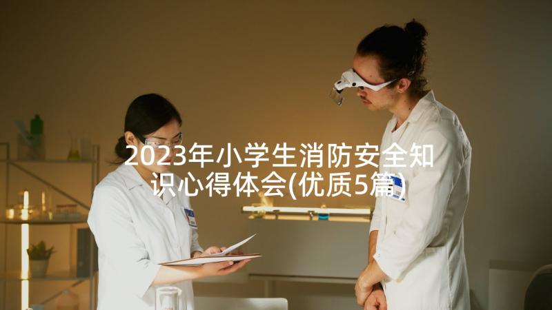 2023年小学生消防安全知识心得体会(优质5篇)