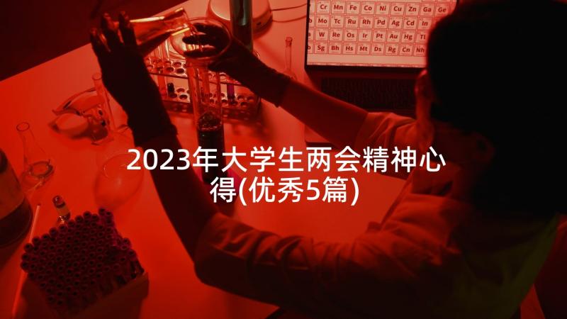 2023年大学生两会精神心得(优秀5篇)