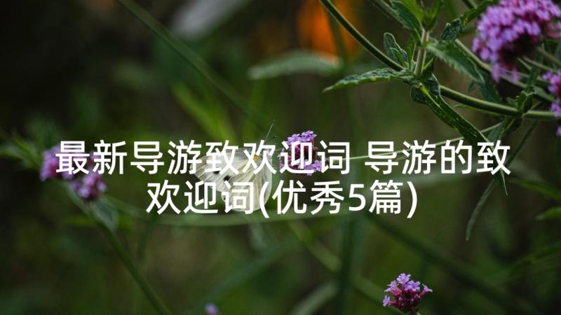 最新导游致欢迎词 导游的致欢迎词(优秀5篇)