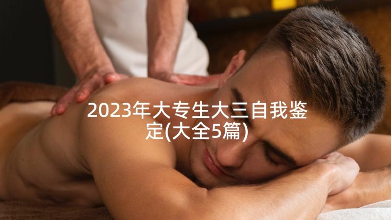 2023年大专生大三自我鉴定(大全5篇)