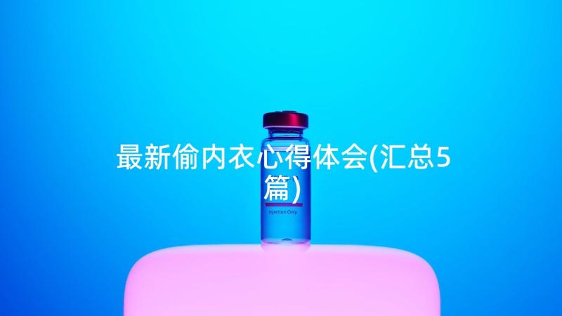 最新偷内衣心得体会(汇总5篇)