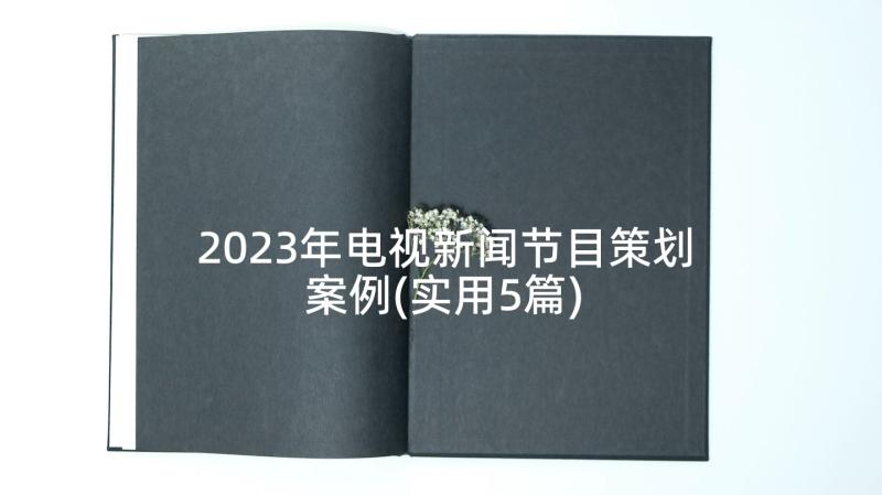 2023年电视新闻节目策划案例(实用5篇)