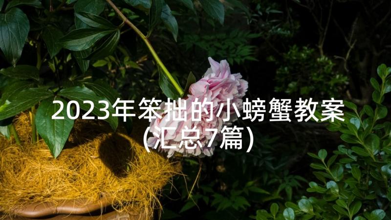 2023年笨拙的小螃蟹教案(汇总7篇)