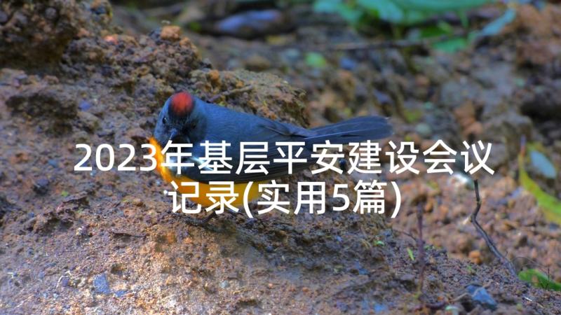 2023年基层平安建设会议记录(实用5篇)