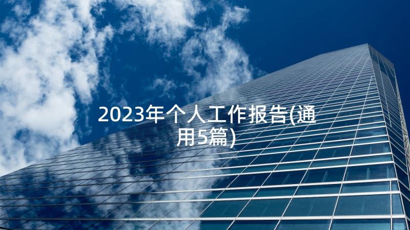 2023年个人工作报告(通用5篇)