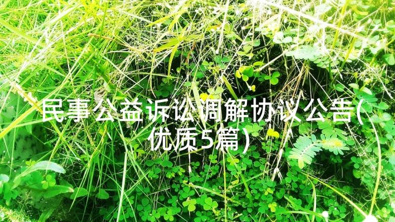 民事公益诉讼调解协议公告(优质5篇)